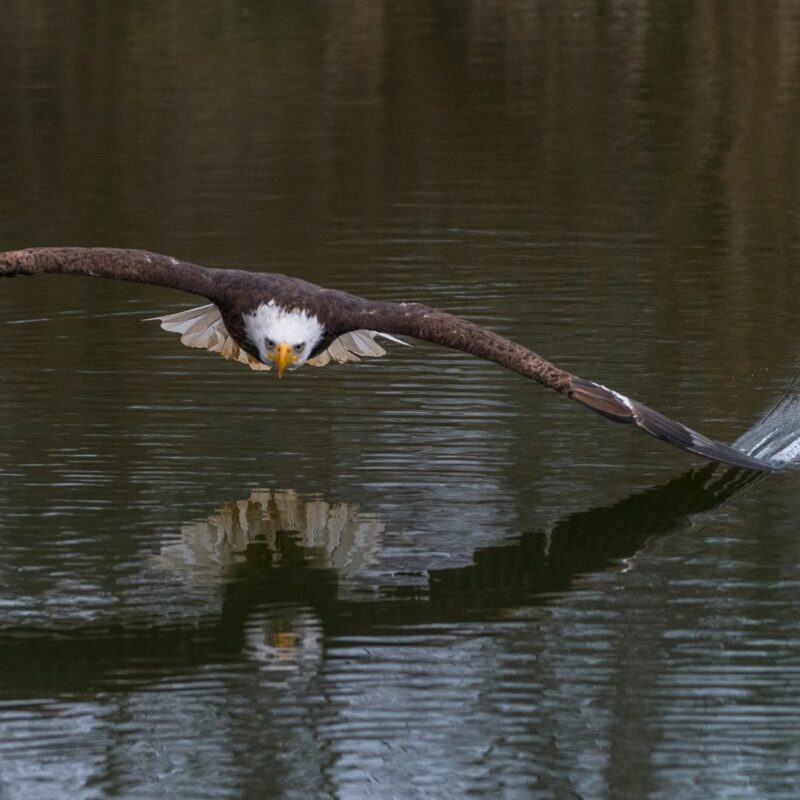 Leading on the Prophetic Edge