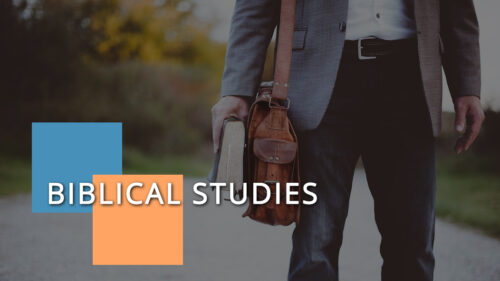 Biblical Studies