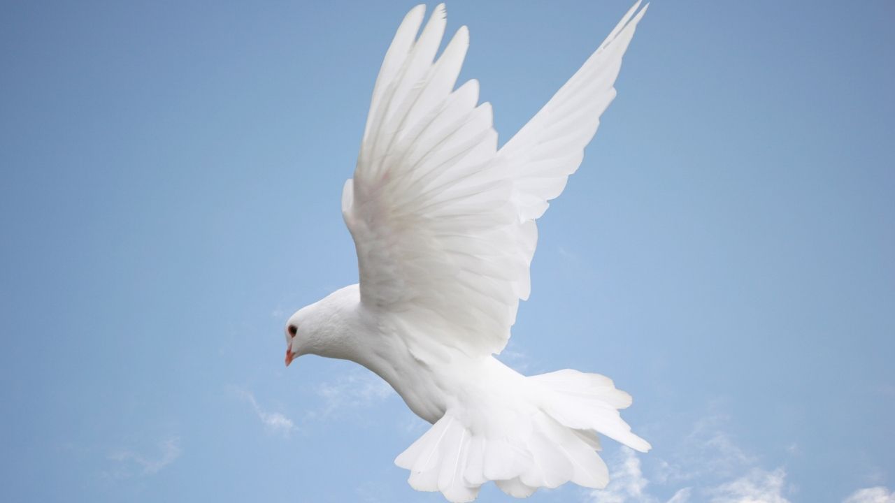 Gifts of the Spirit