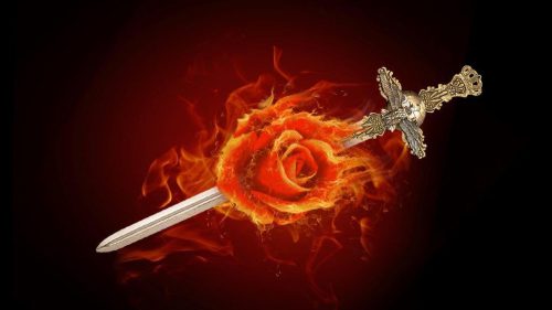 Days of War & Roses
