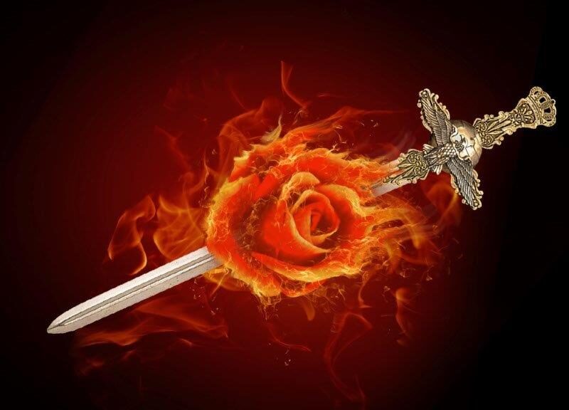 War & Roses